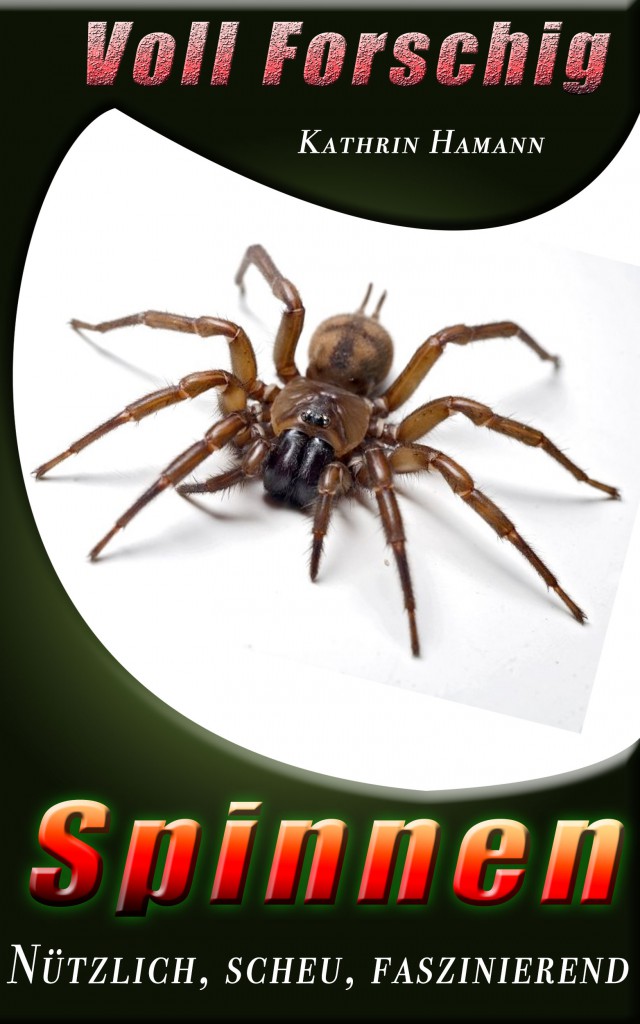 Book Cover: Spinnen - Voll Forschig