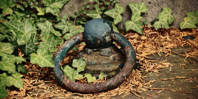 Leichenteile im Garten Krimiprojekt (Plot erstellen)